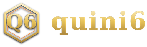 quini6 logo